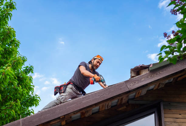 Skylights in Langley Park, MD